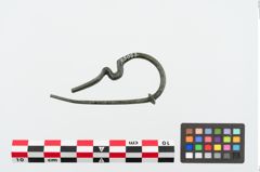 Foto von Bronzeschlangenfibel (NHMW-PRAE-025063)